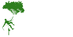 Tree Surgery Brent Park from Majestic Tree Care Ltd Logo